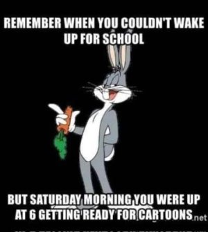 IMG_1695.jpeg