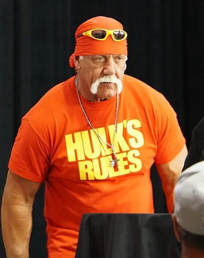 Hulk_Hogan_2015_cropped.jpg.webp