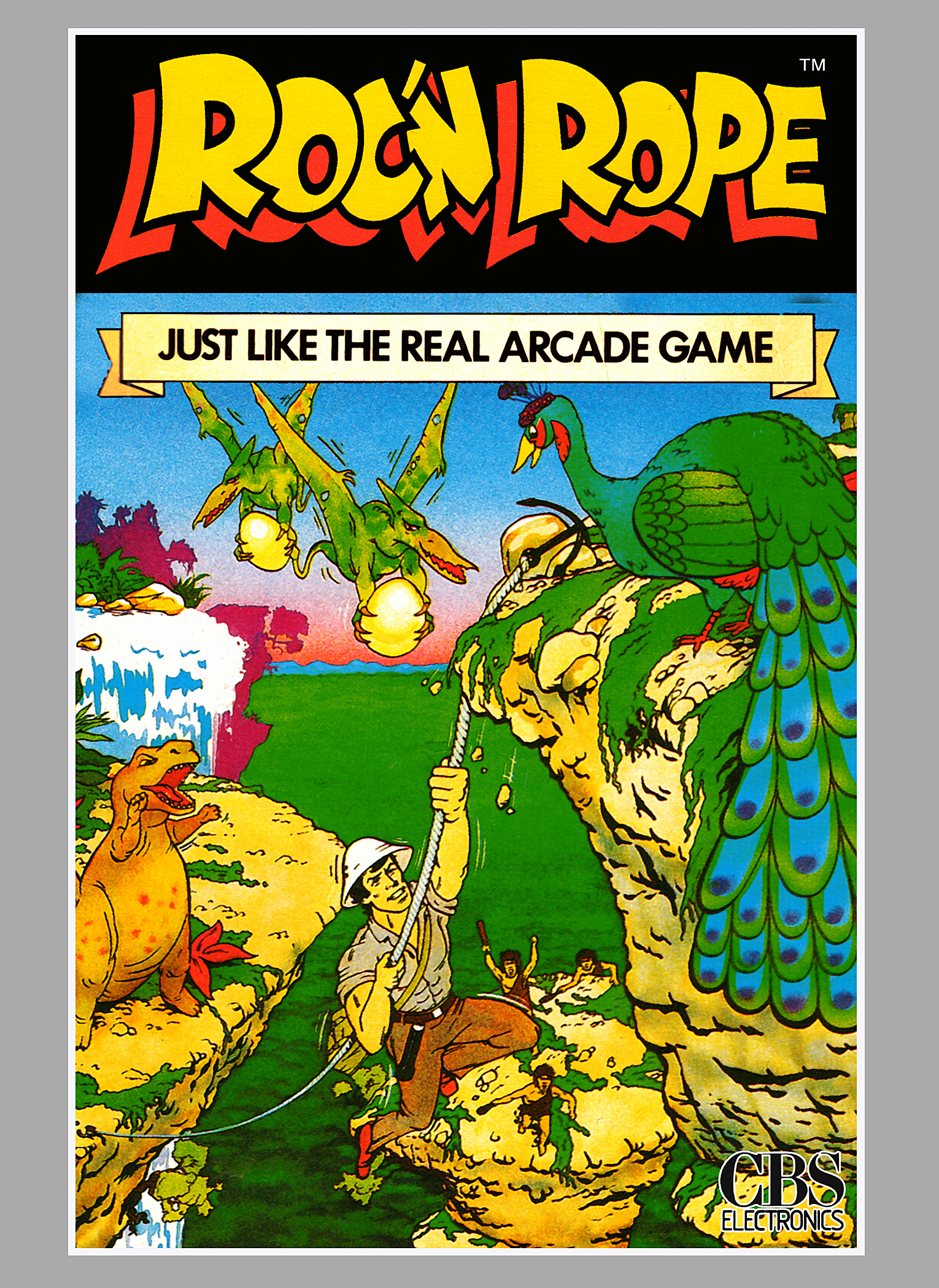 Roc ‘N Rope box art