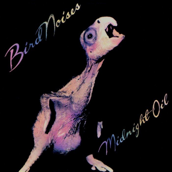 Bird Noises album cover