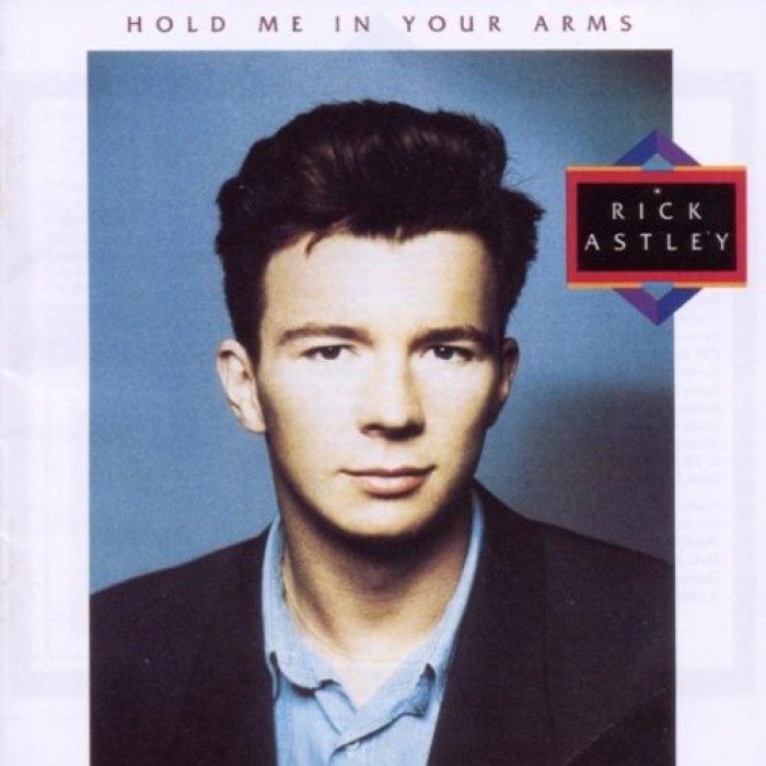 Hold Me in Your Arms album cover
