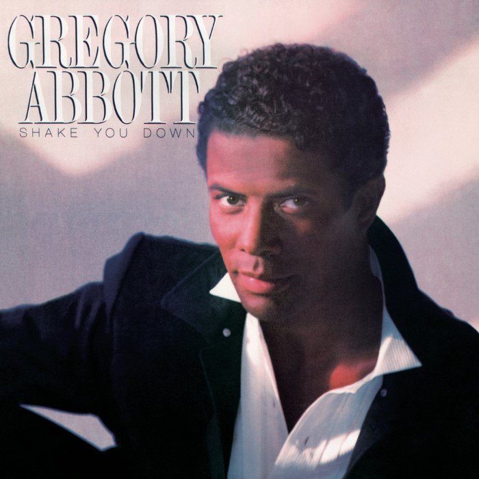 Shake You Down album cover