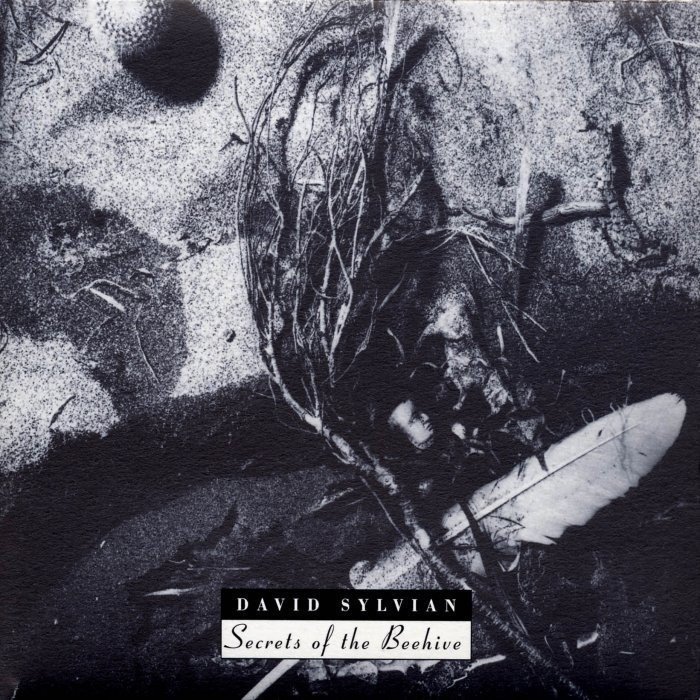 Secrets of the Beehive album cover