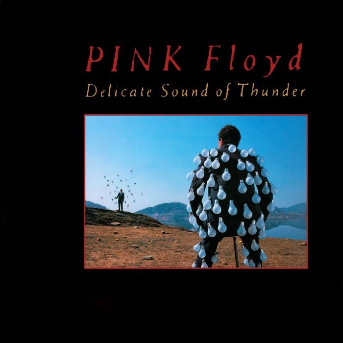 Delicate Sound of Thunder album cover