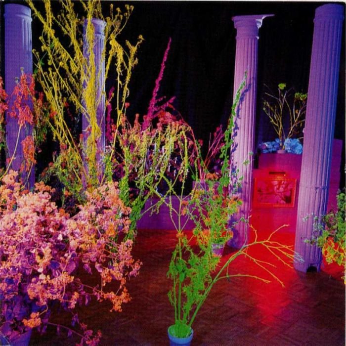 Warehouse: Songs and Stories album cover