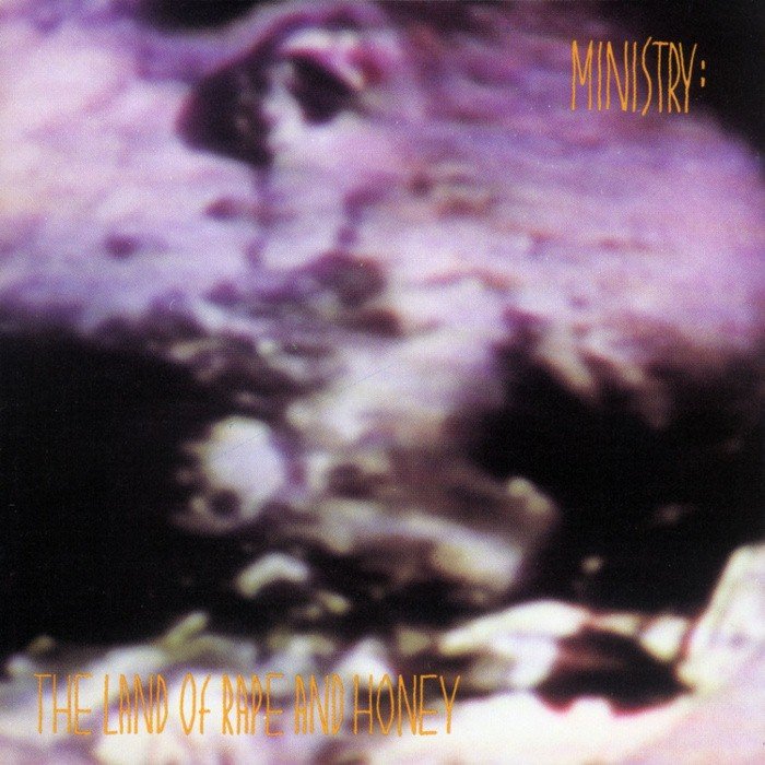 The Land of Rape and Honey album cover