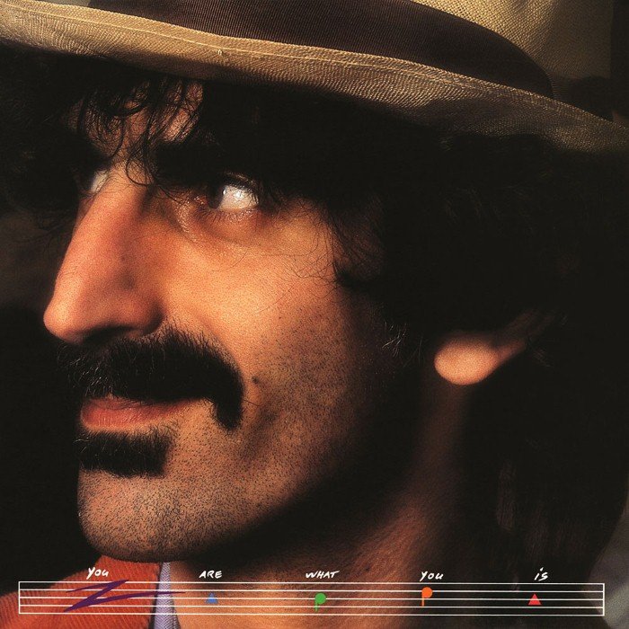 You Are What You Is album cover