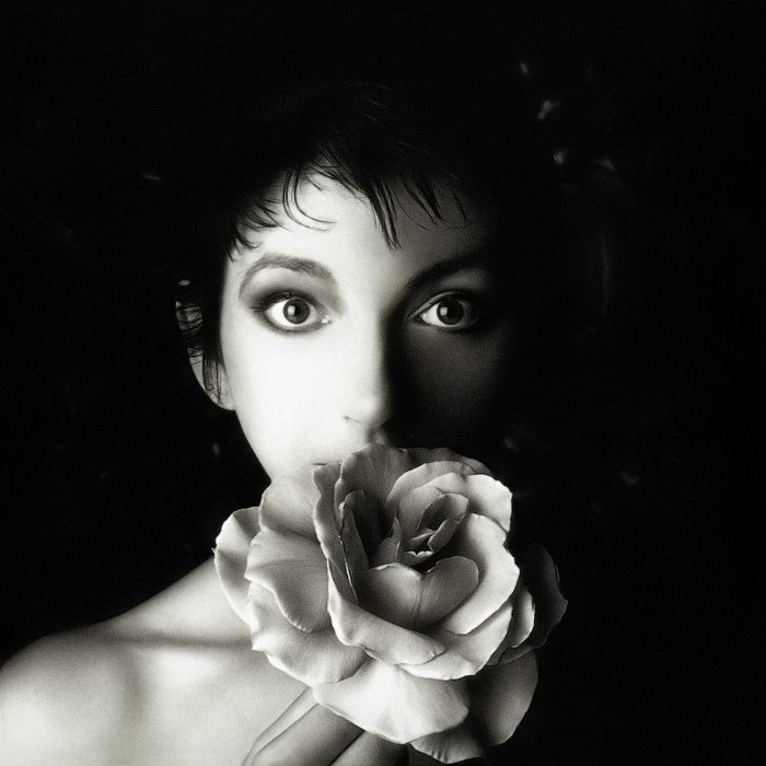 The Sensual World album cover