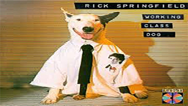 On This Day: February 24, 1981 Working Class Dog by Rick Springfield