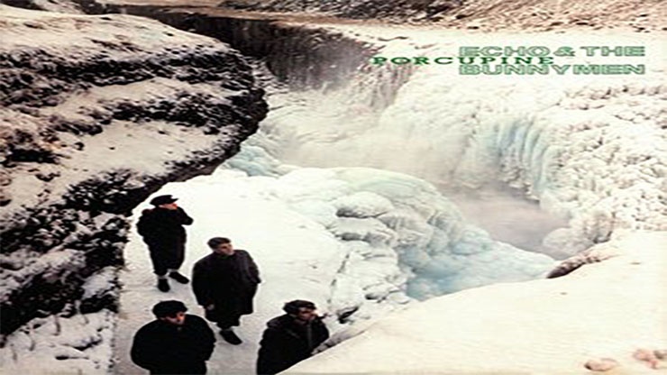 Echo & The Bunnymen Released Porcupine