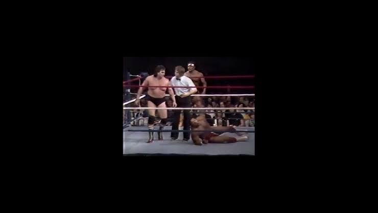 On This Day: April 17, 1984 – The North South Connection Won the WWF Tag Team Championship