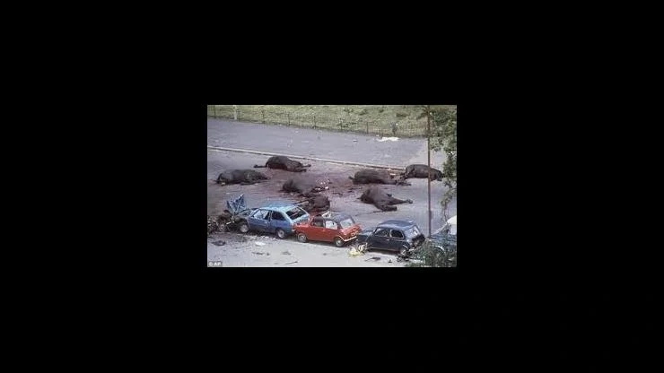 On This Day July 20, 1982 – The Hyde Park and Regent Park Bombings Occurred in London