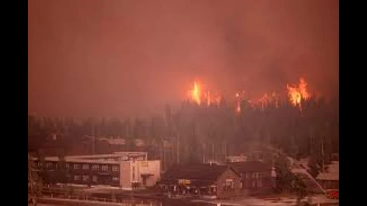 On This Day August 20 1988 - The Biggest Fire in Yellowstone National Park History Began