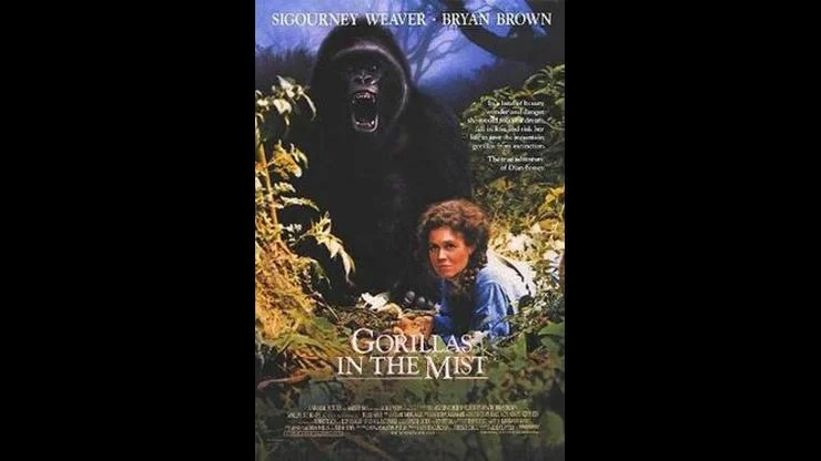 On This Day September 23, 1988 – Gorillas in the Mist Premiered in Theaters