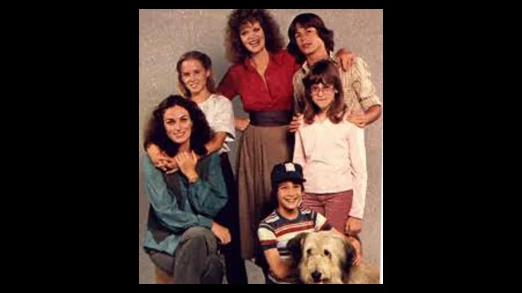 On This Day January 5 1980 - Final Episode of A New Kind of Family Aired on Television
