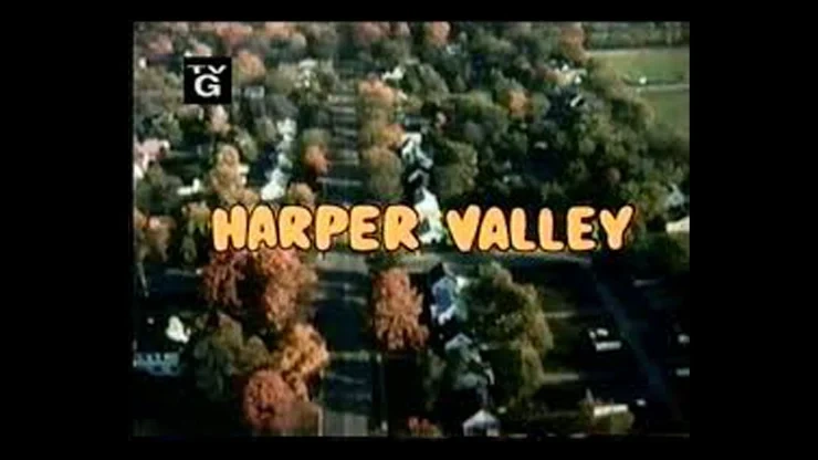 On This Day January 16 1981 - Harper Valley P.T.A. Premiered on NBC