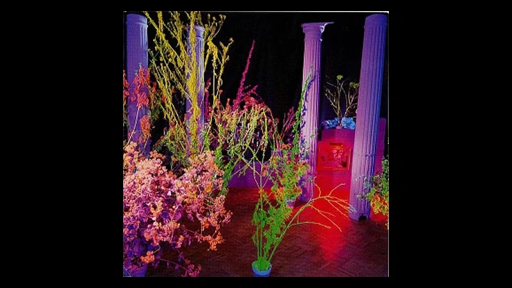 On This Day January 19 1987 - Warehouse Songs and Stories by Husker Du Was Released