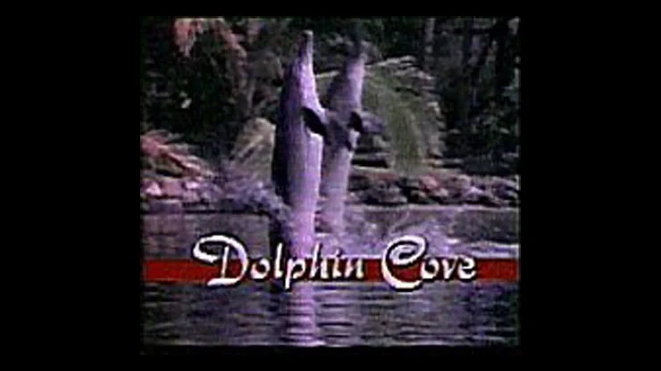 On This Day January 21 1989 - Dolphin Cove Premiered on CBS